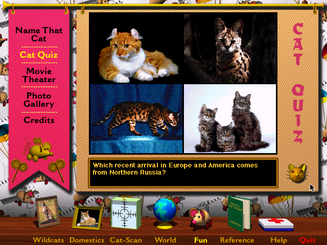 Multimedia Cats - Game